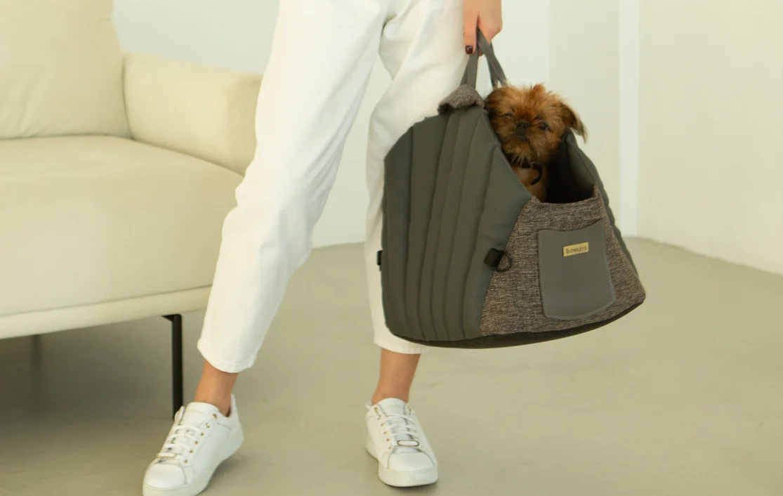 Dog Carrier Purse for Prague Ratter