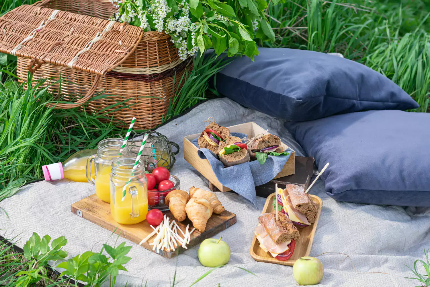 chic picnic blanket