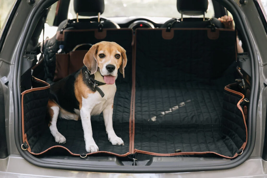 Brittanys back seat cover for Toyota Tacoma