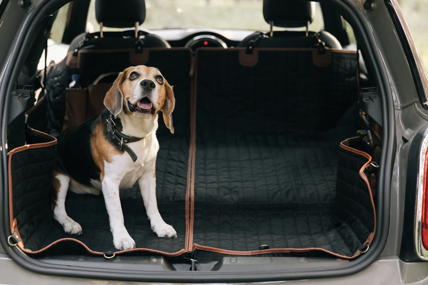 Brittanys back seat cover for Chevrolet Silverado