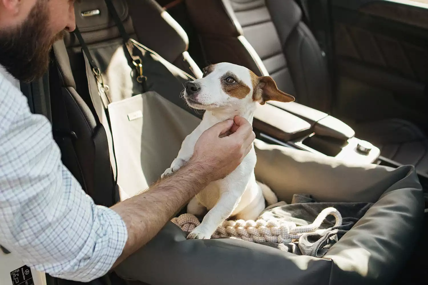 Jeep Renegade Dog Car Seat for English Cocker Spaniels